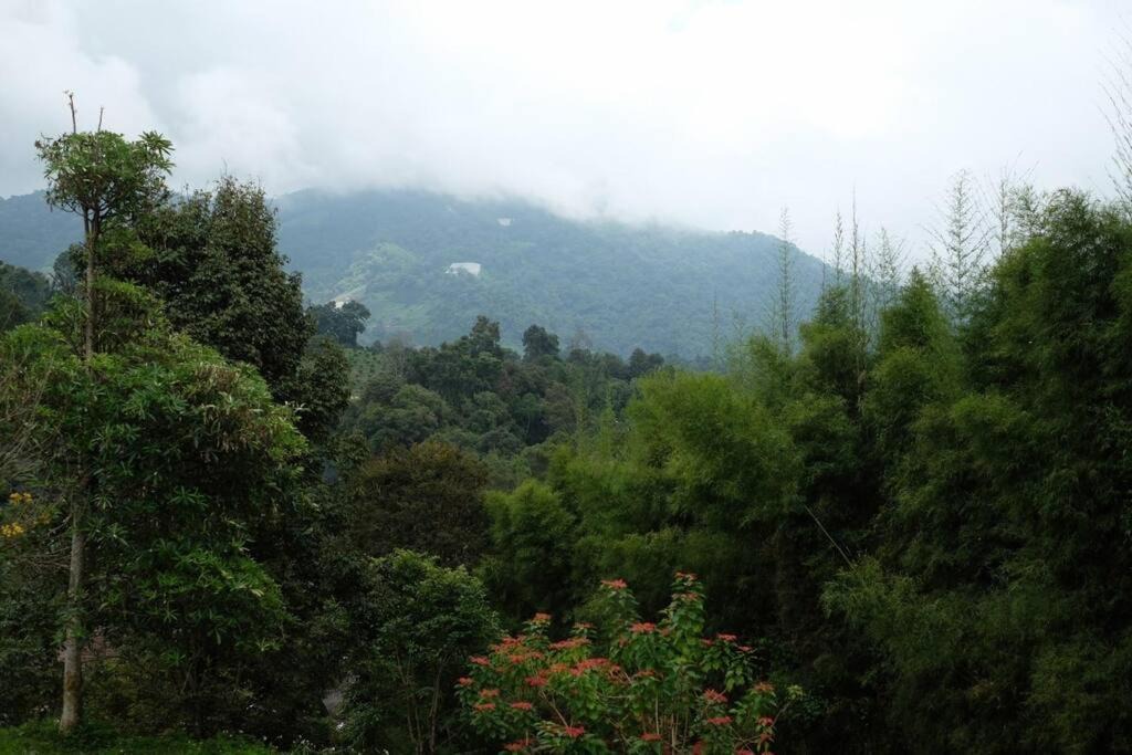 Photo of Others in Mae Rim
