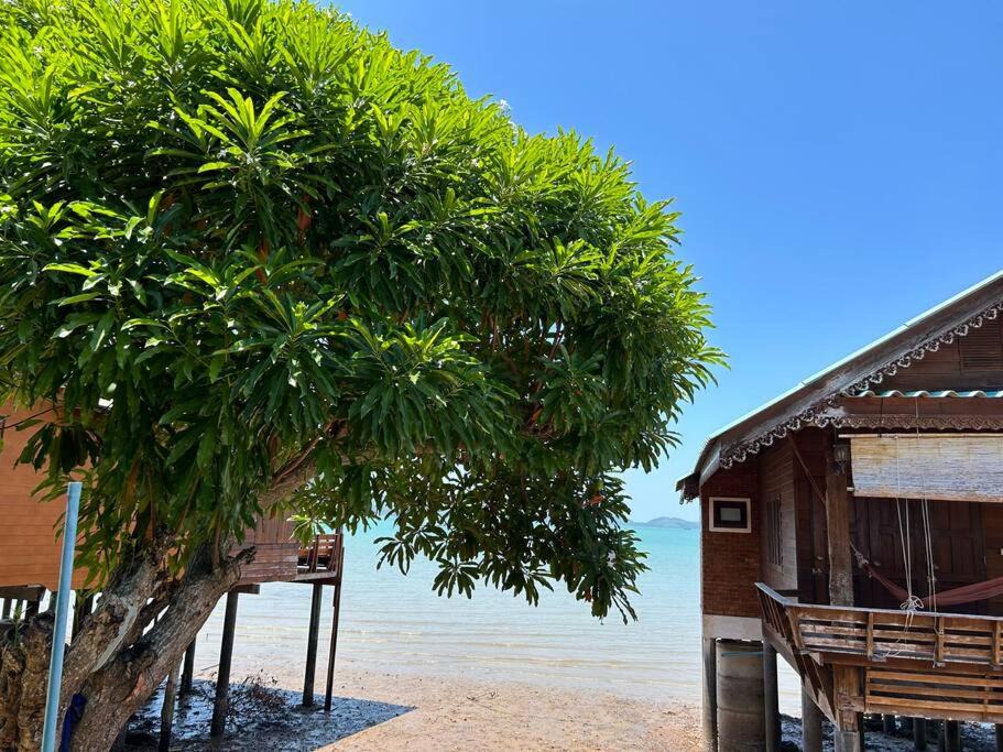 Photo of Others in Ko Yao