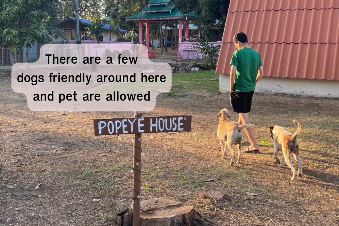 Photo of Others in Chong Kham