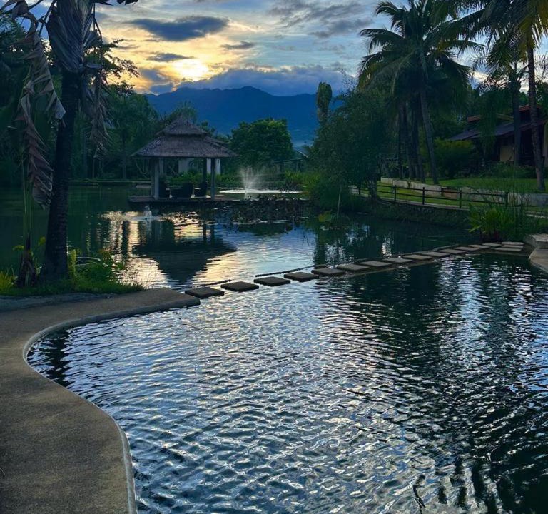 Photo of Others in Pai