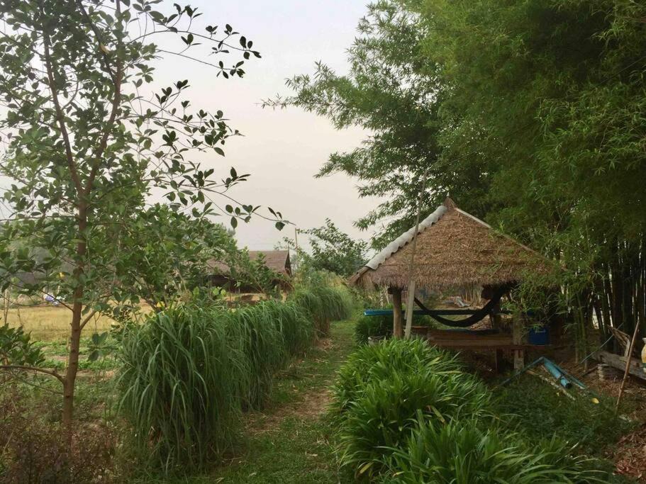Photo of Others in Mae Taeng