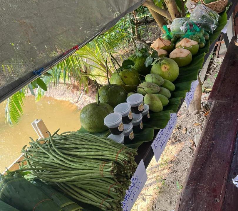 Photo of Others in Bang Yai
