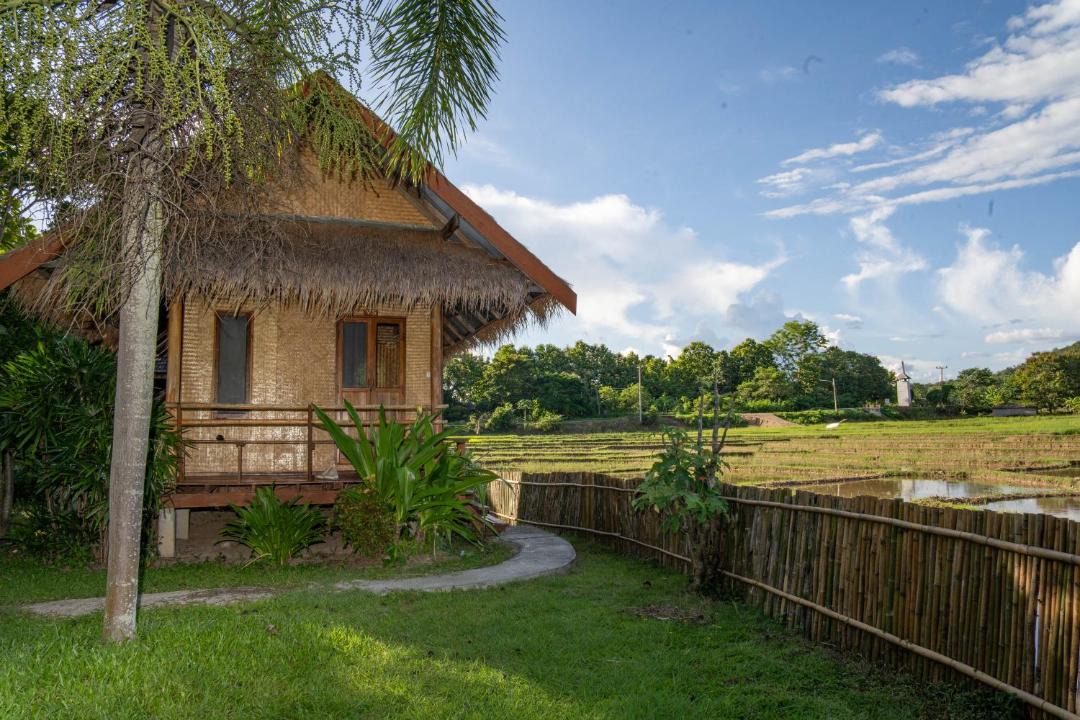 Photo of Others in Pai
