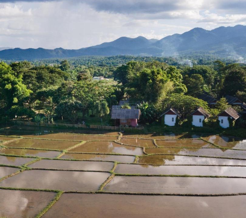 Photo of Others in Pai