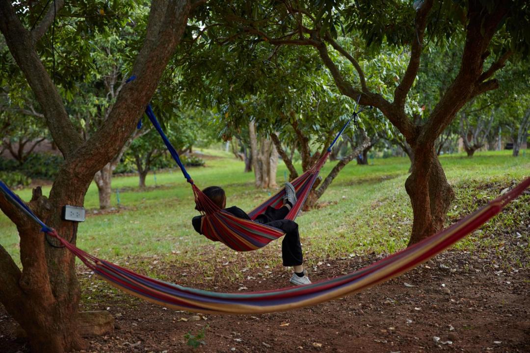 Photo of Others in Pong Ta Long