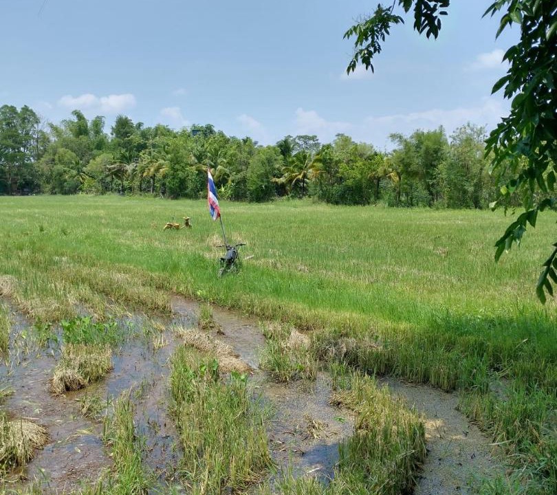 Photo of Others in San Kamphaeng