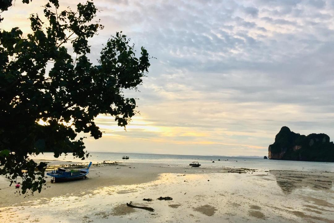 Photo of Others in Ko Phi Phi