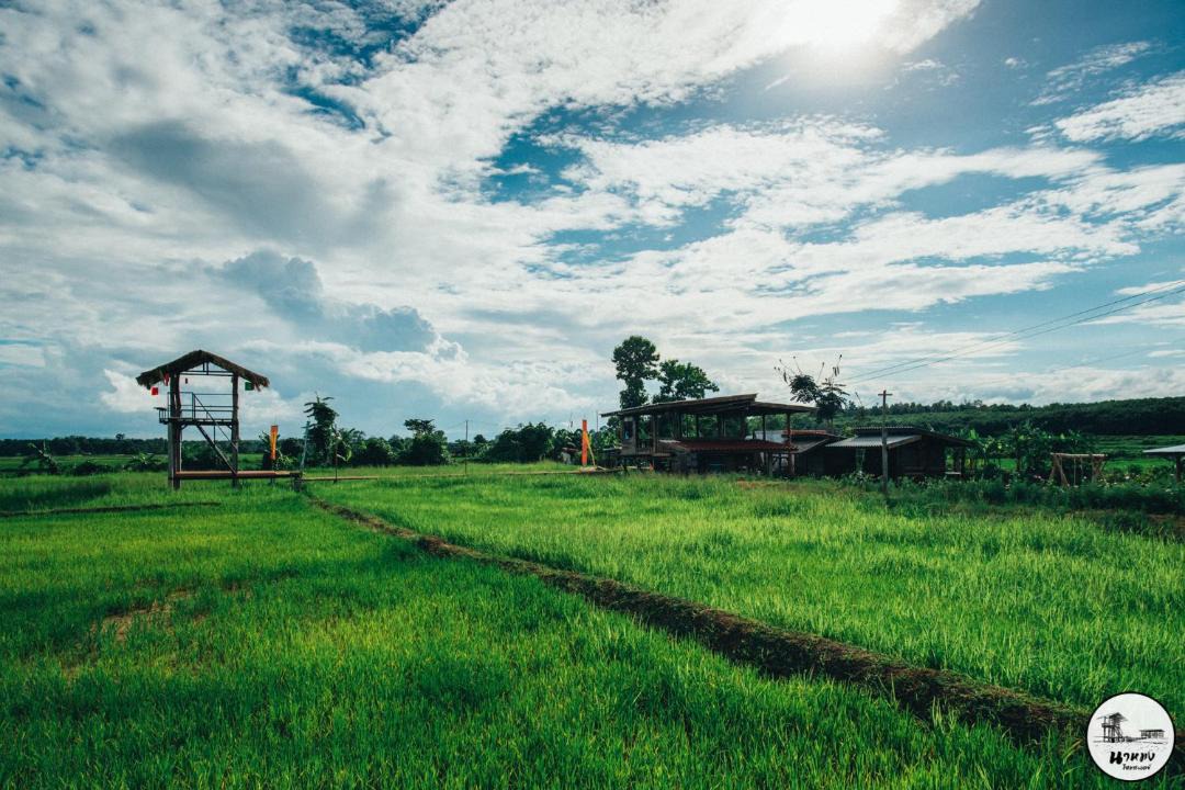 Photo of Others in K. Phu Pieng