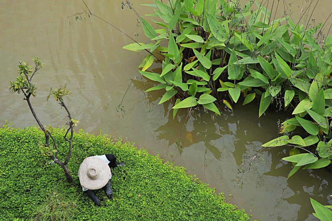 Photo of Others in Chiang Rai
