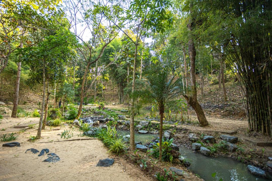 Photo of Others in Rim Tai