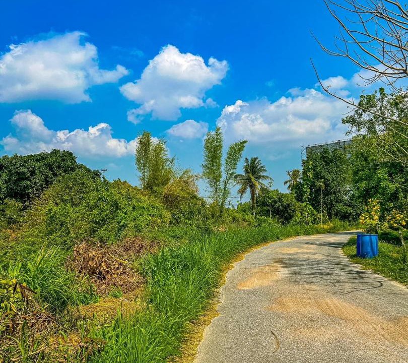 Photo of Others in Nong Khang Khok