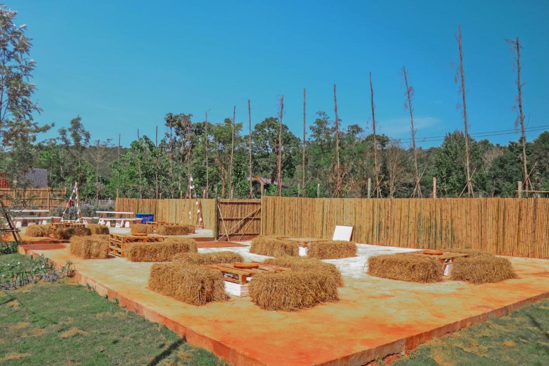 Photo of Others in Pong Ta Long