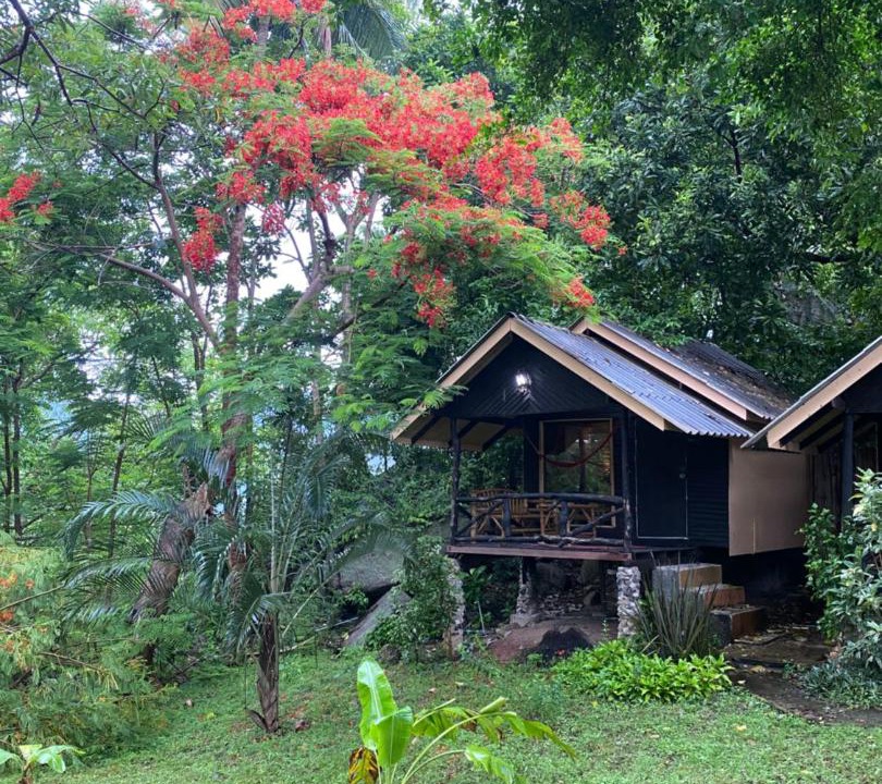Photo of Others in Koh Tao