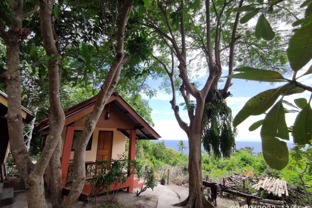 Photo of Others in Koh Tao