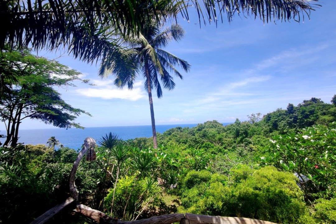 Photo of Others in Koh Tao
