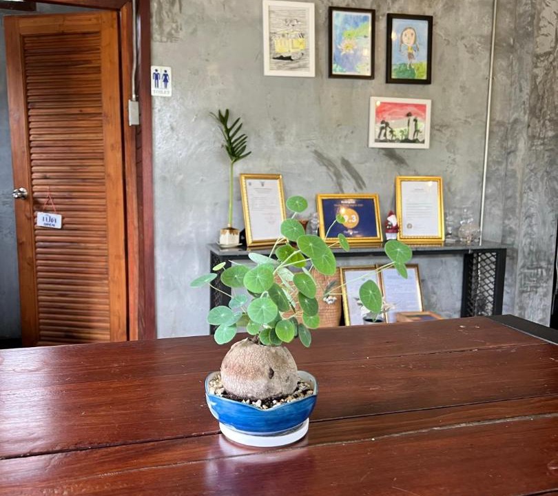 Photo of Others in Chiang Khan
