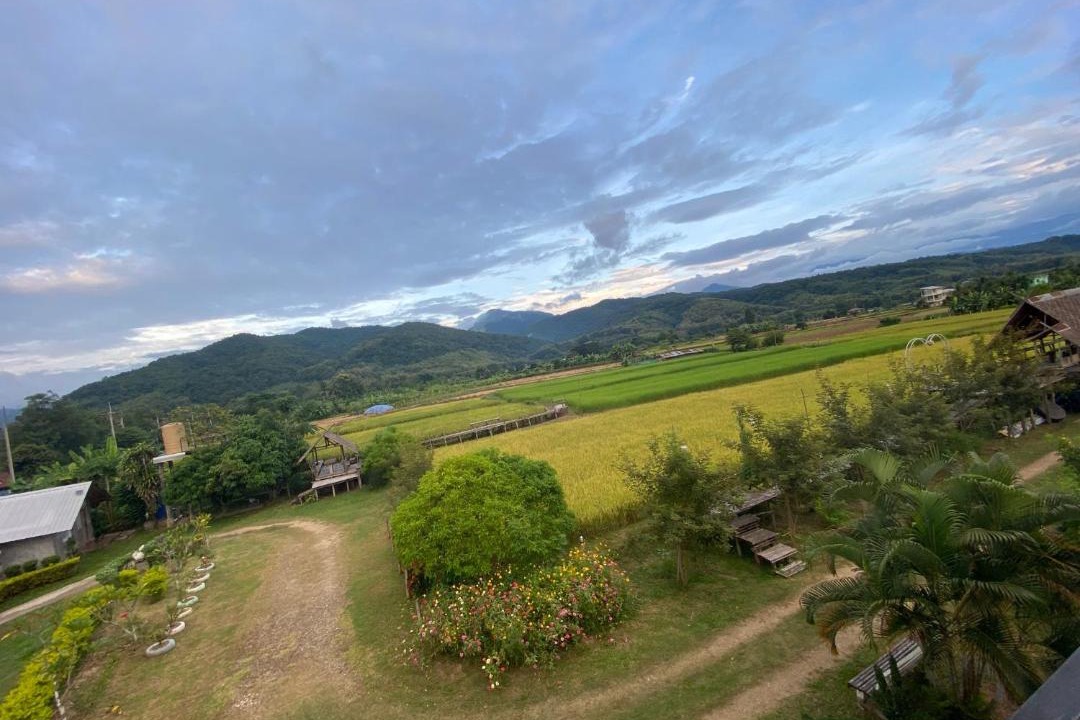 Photo of Others in Pua