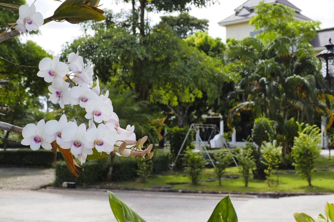 Photo of Others in Chiang Rai
