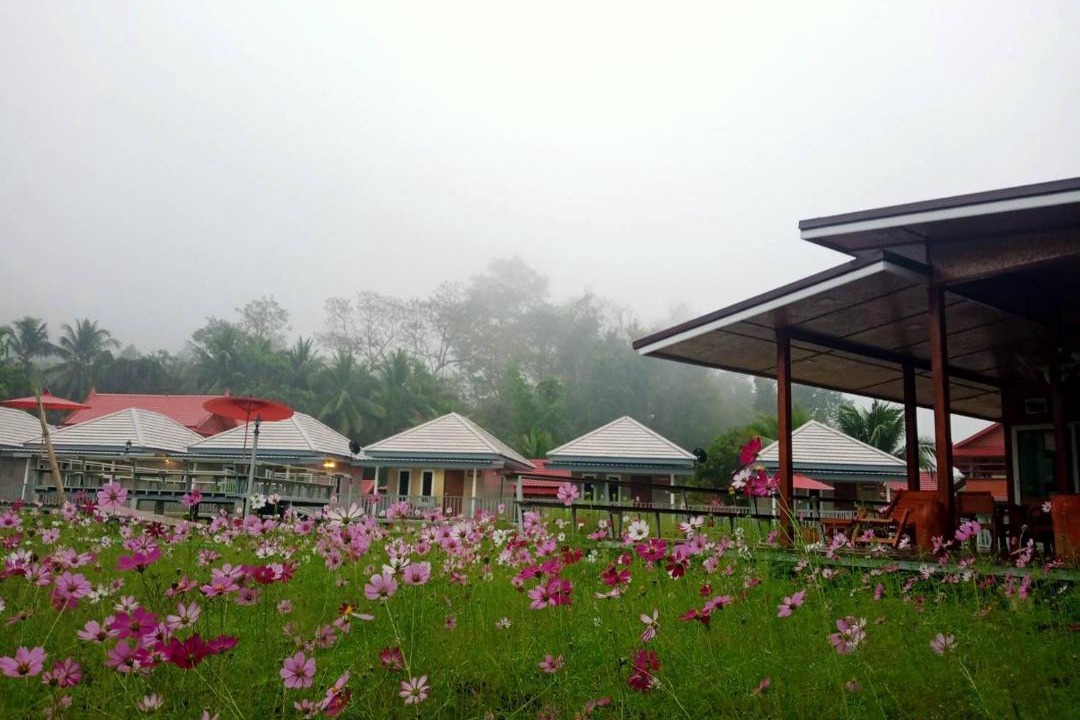 Photo of Others in Chong Kham