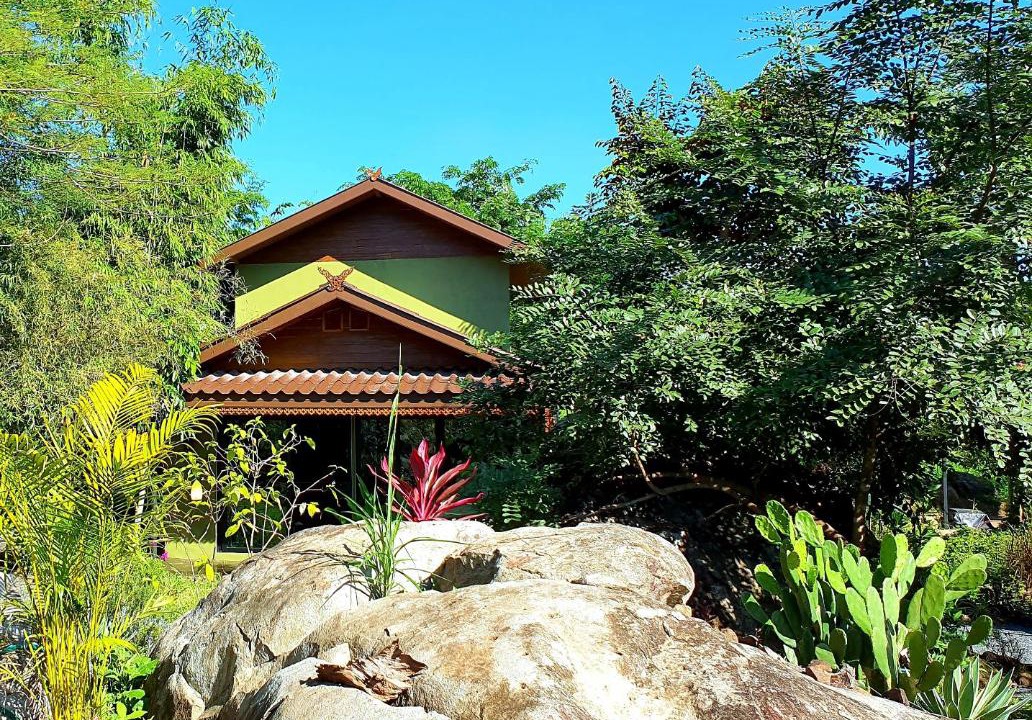 Photo of Others in Pai