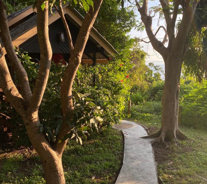 Photo of Others in Koh Tao