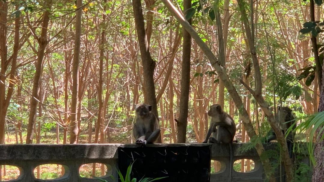 Photo of Others in Nuea Khlong
