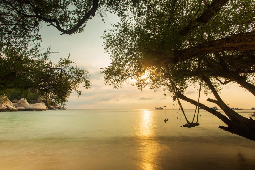 Photo of Others in Koh Tao