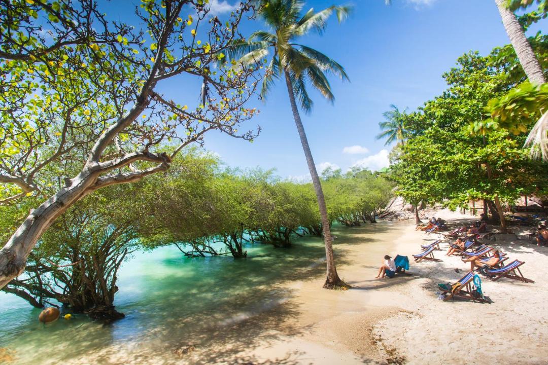 Photo of Others in Koh Tao