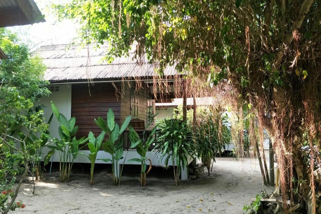 Photo of Others in Ko Pha-ngan