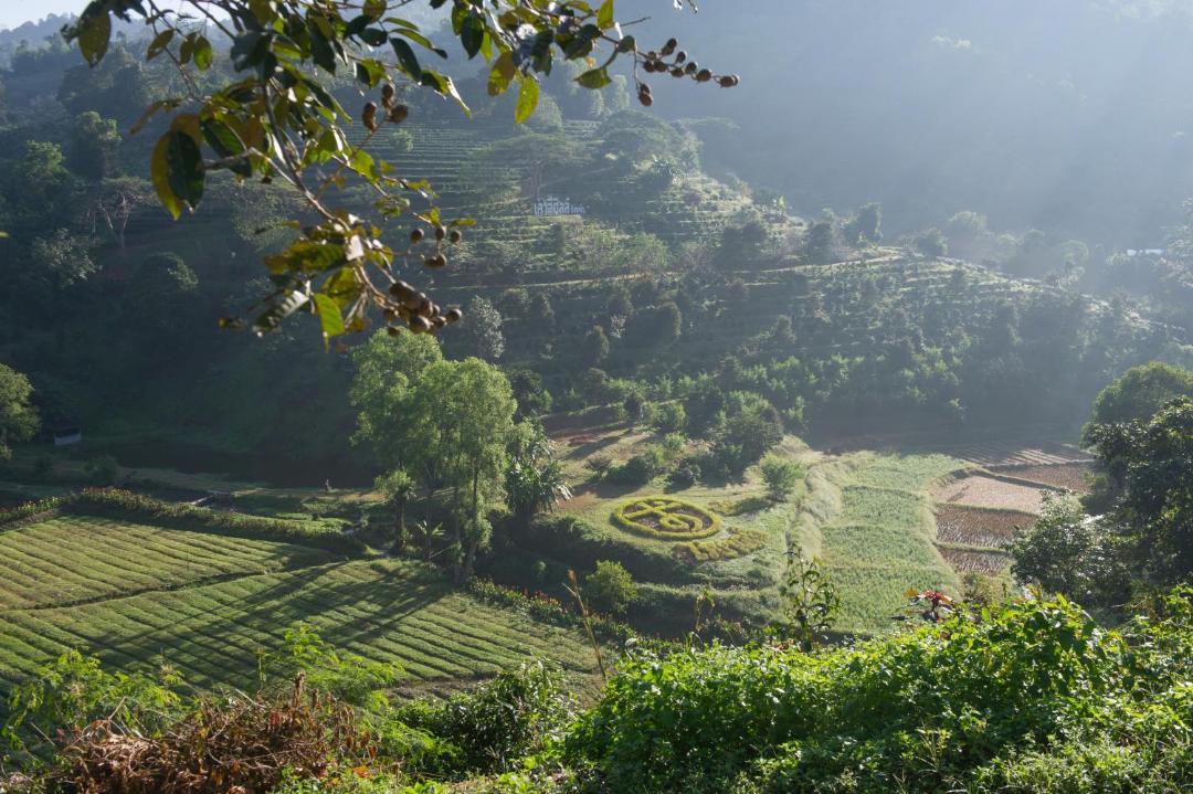 Photo of Others in Mae Suai