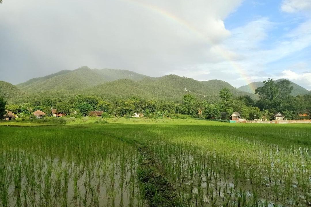 Photo of Others in Pai