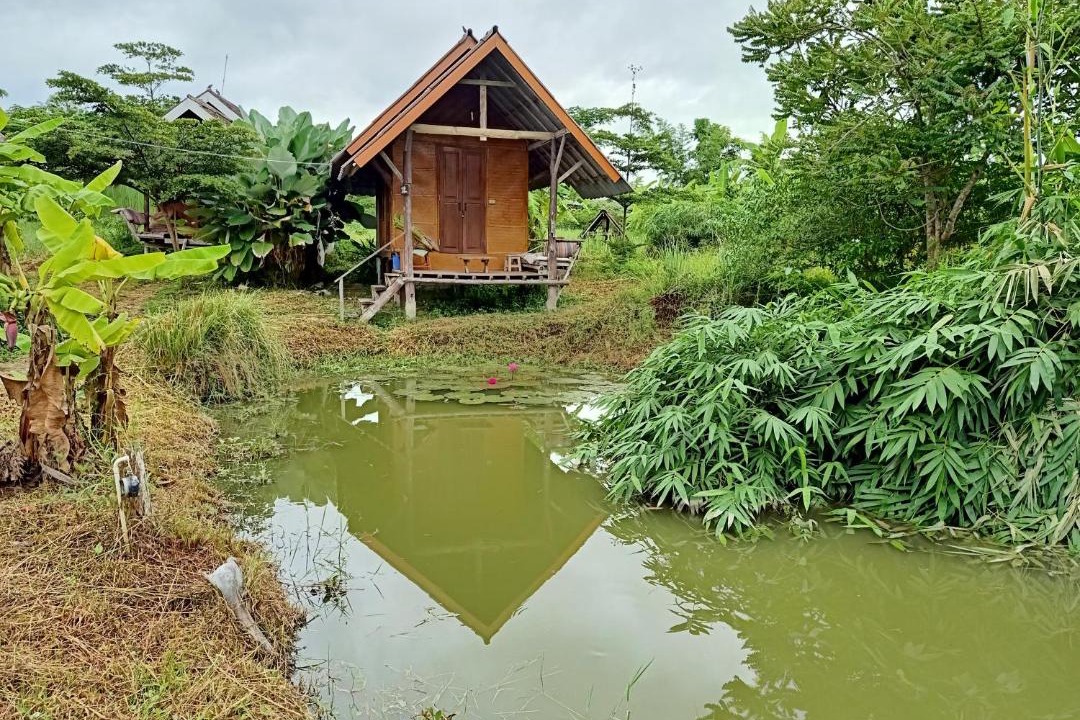 Photo of Others in Pai