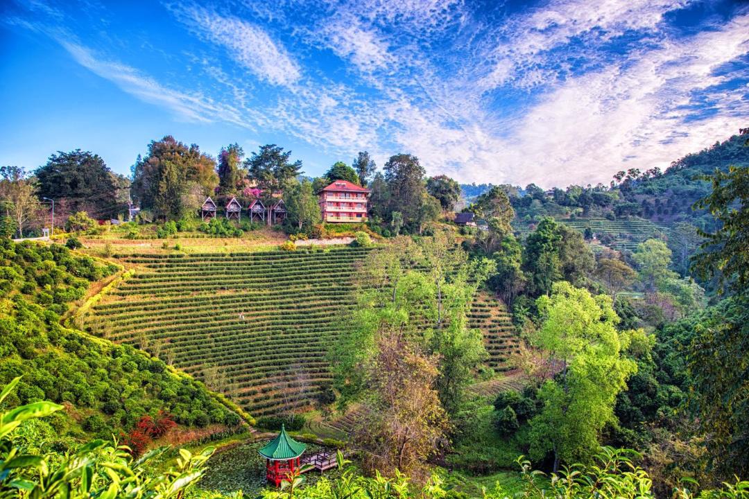 Photo of Others in Mae Suai