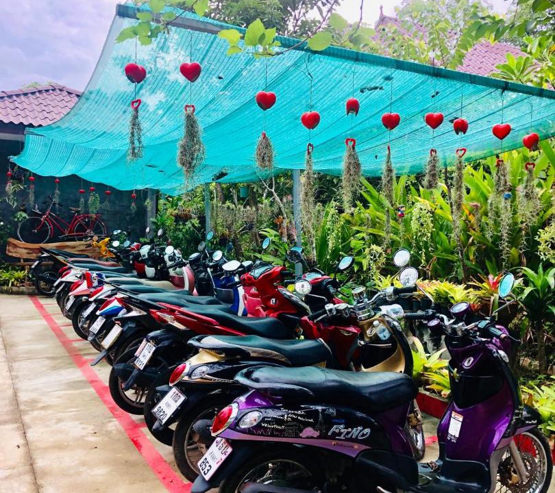 Photo of Others in Ko Lanta