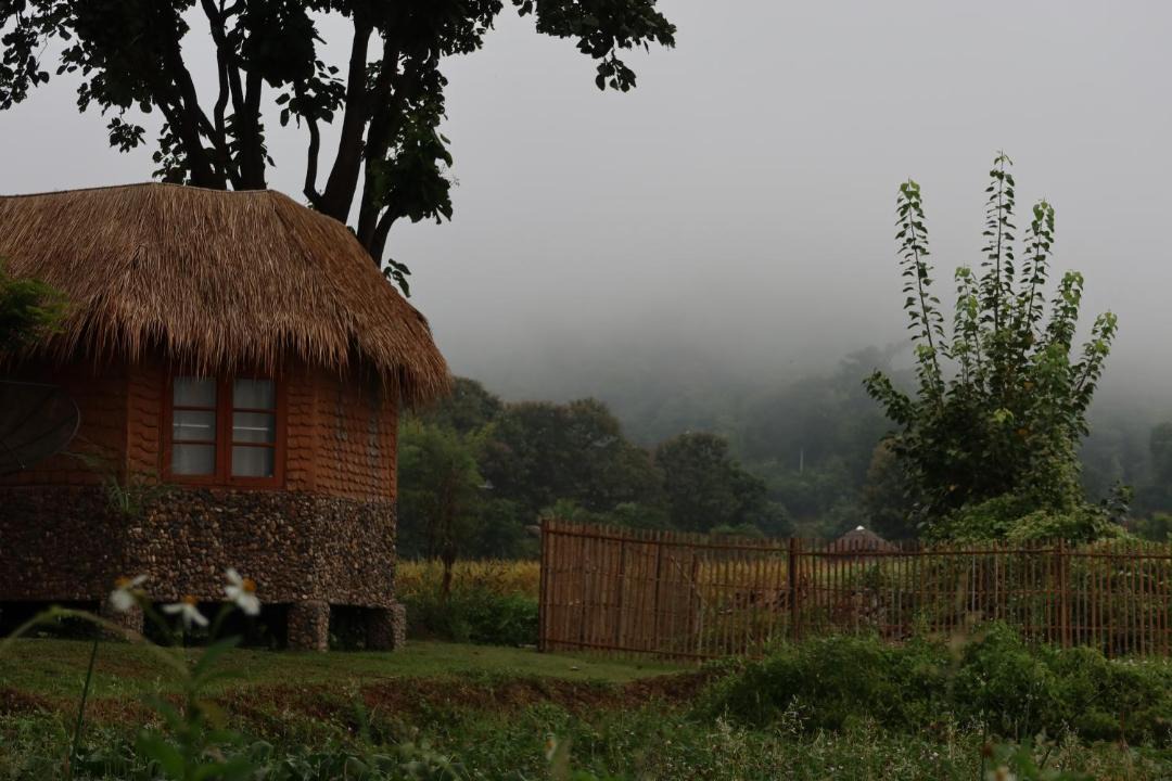 Photo of Others in Pai