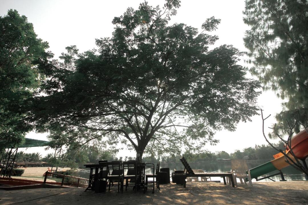 Photo of Others in Chiang Phin