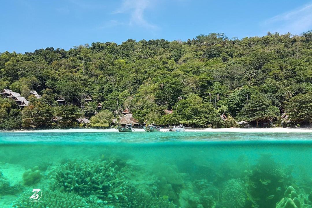 Photo of Others in Ko Phi Phi