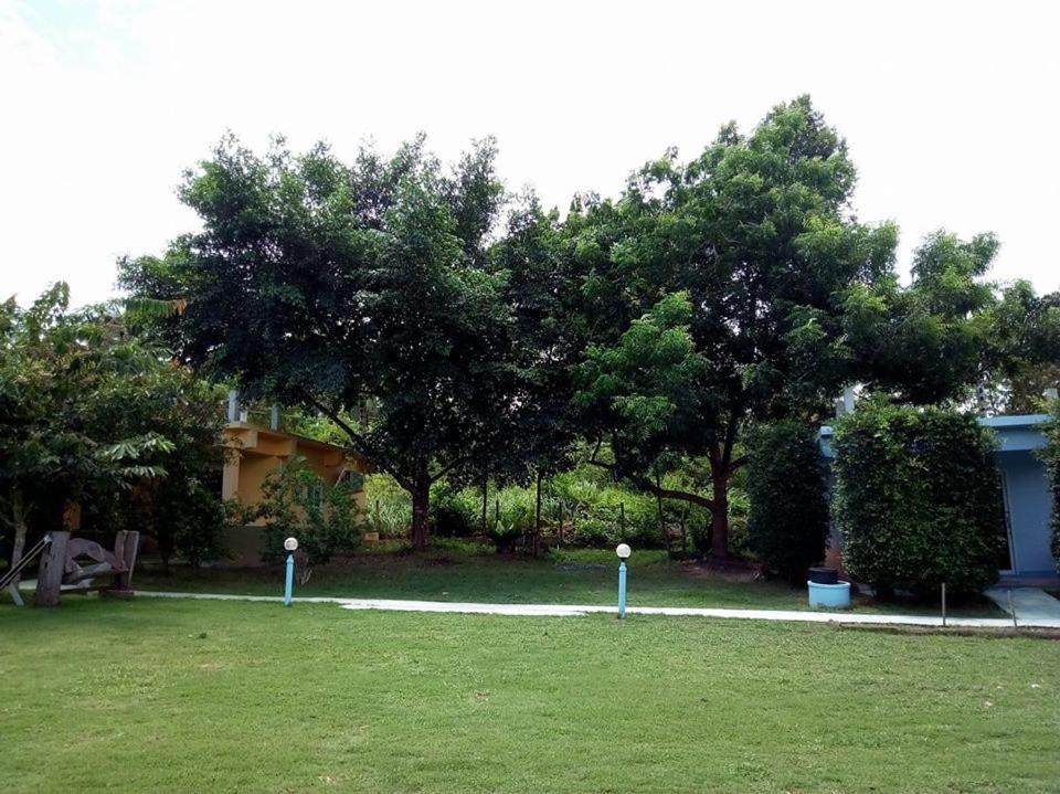 Photo of Others in Phongprasan