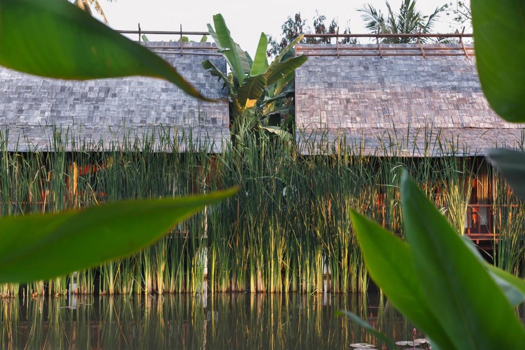 Photo of Others in Luang Prabang