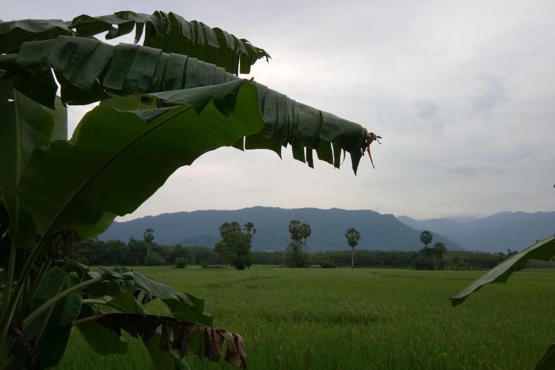 Photo of Others in Lan Saka