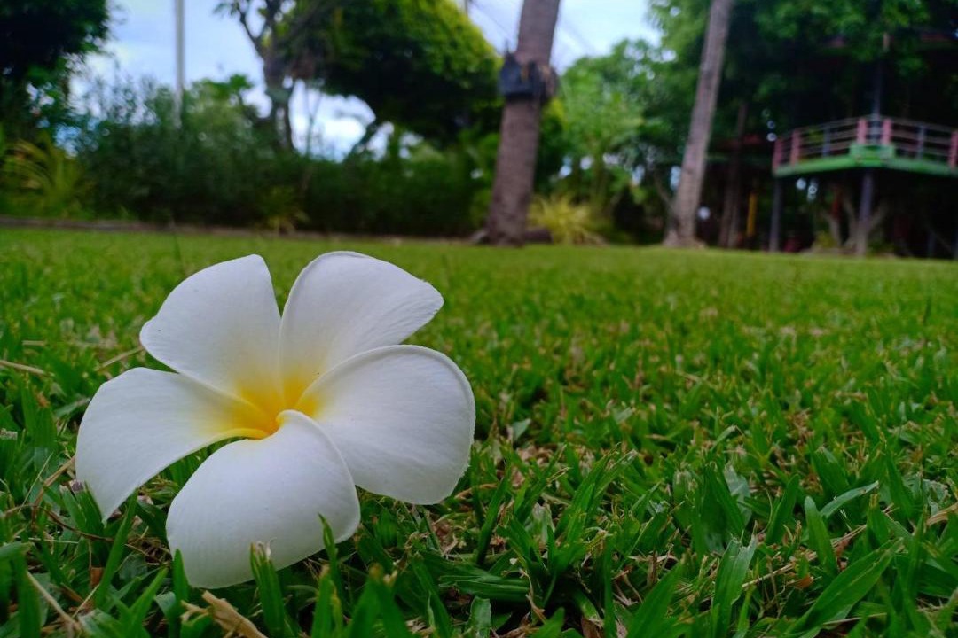 Photo of Outdoor in Nam Ruem