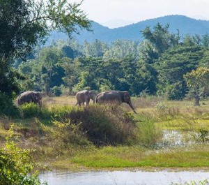 Baan Khun Koey Hua Hin 