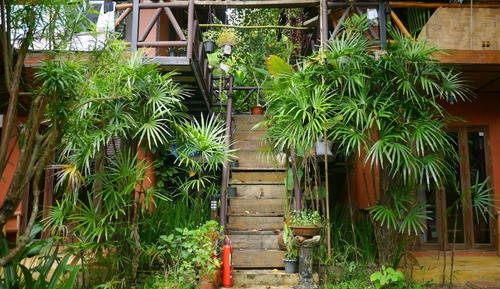 Wooden Cottage