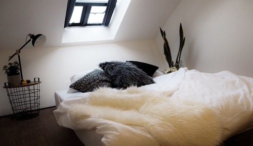Standard Loft with Shared Bathroom