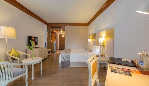 Deluxe Room, 1 King Bed, Non Smoking, Pool View