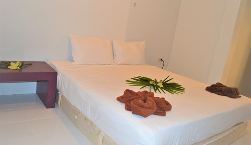 Basic Double or Twin Room