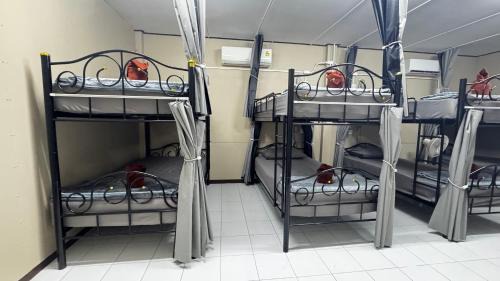 Bunk Bed in Mixed Dormitory Room