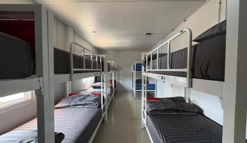 Bunk Bed in Mixed Dormitory Room