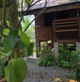 Double Room with Park View