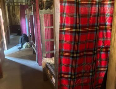 Bed in 10-Bed Mixed Dormitory Room